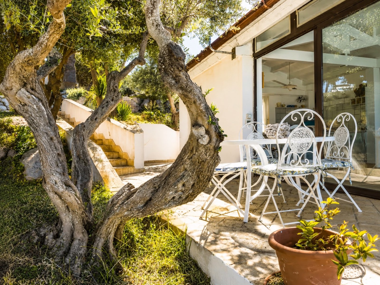 Terrazza ombreggiata dagli ulivi